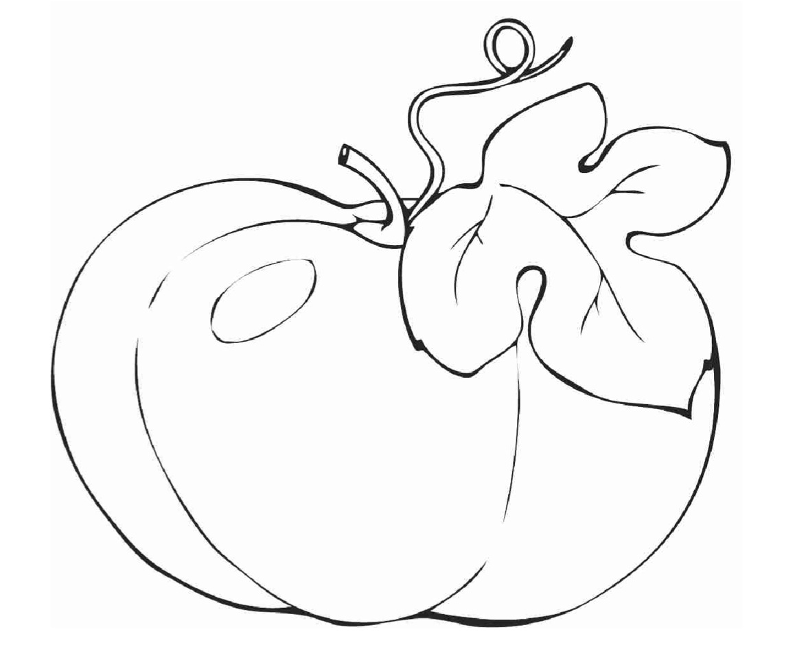 calabaza coloring pages - photo #25